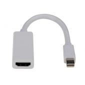  ADAPTATEUR MINI DISPLAYPORT 