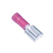  Coss.clips F.a sert.P.IS.6.3 J 