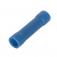  PROLONG.B  B BLEU 2.5mm 
